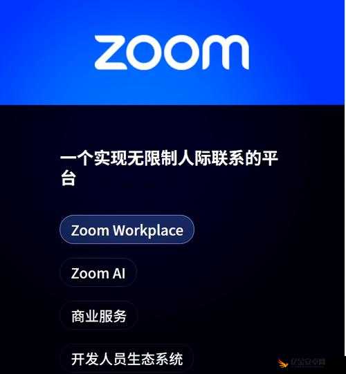 Zoom 与牛性胶 ZOOm 区别大揭秘：你真的了解吗？